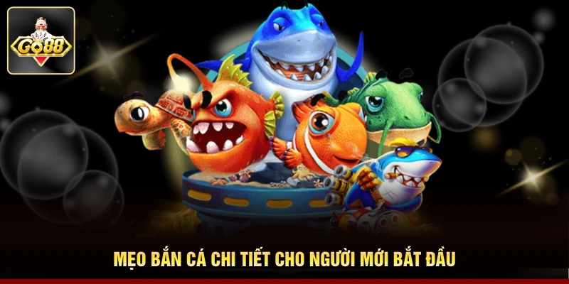 Mẹo bắn cá chi tiết cho người mới bắt đầu